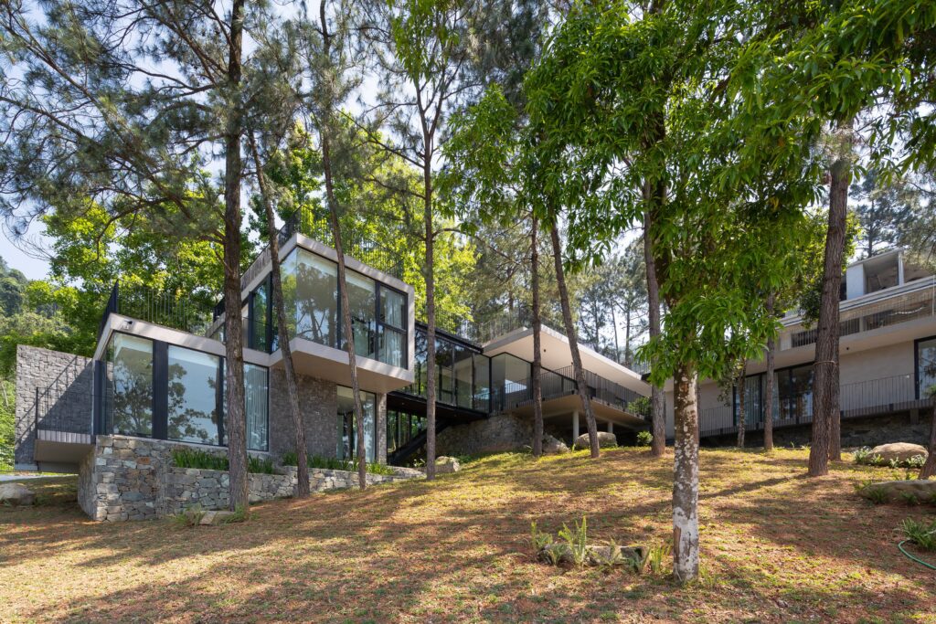 Tam Dao Retreat: Living Among the Pines, Vietnam